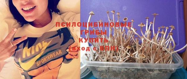 хмурый Горняк