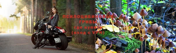 не бодяженный Горно-Алтайск