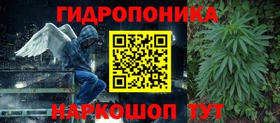 ПСИЛОЦИБИНОВЫЕ ГРИБЫ Беслан