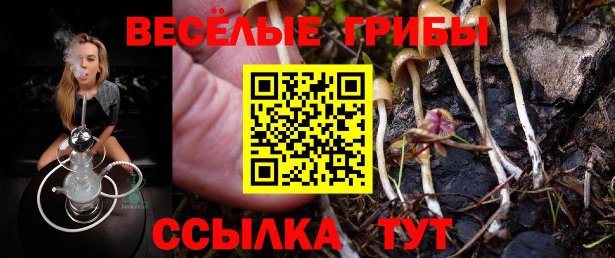 Большой Камень  Галлюциногенные грибы GOLDEN TEACHER  Вход с VPN 