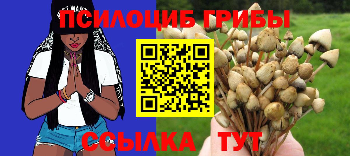 Галлюциногенные грибы мицелий  Большой Камень 